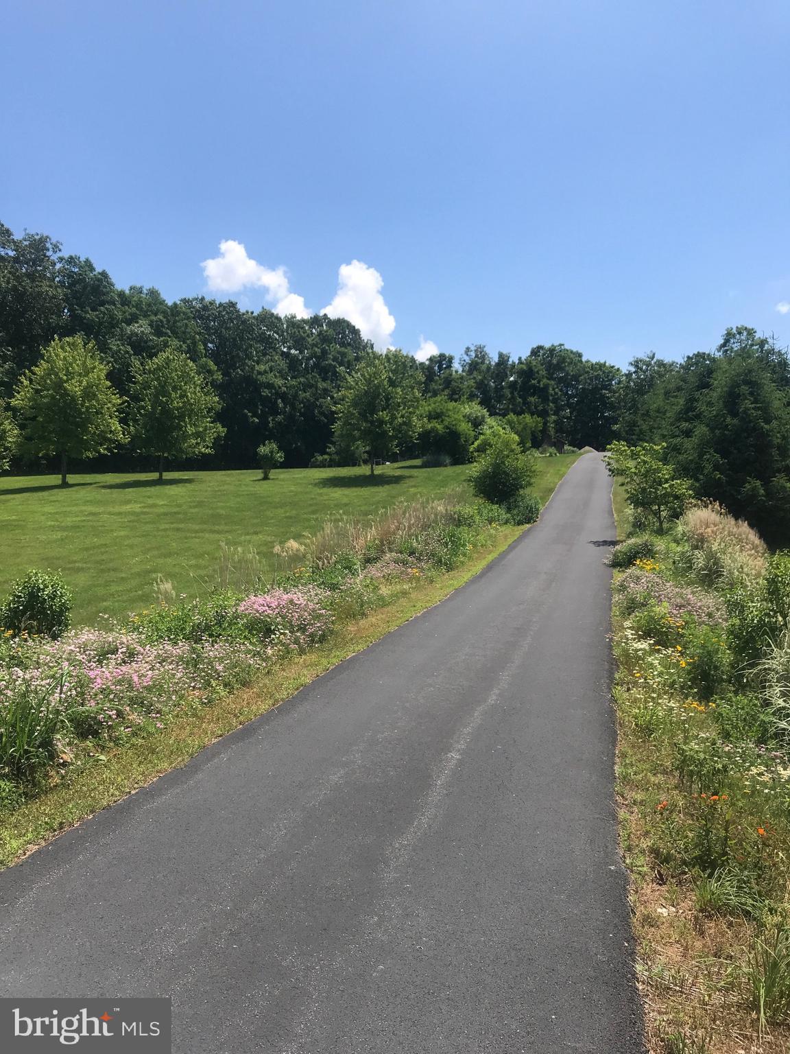 2397 Little Buffalo Road Newport, PA 17074 - Photo 2 of 2 Driveway