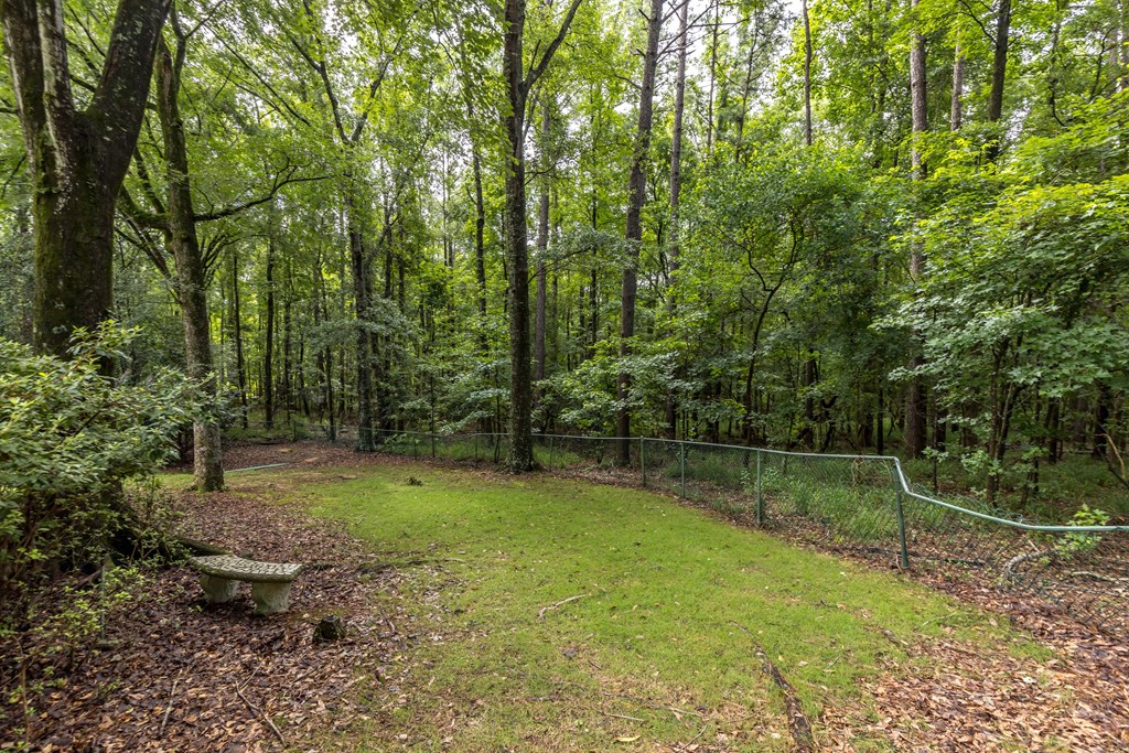 5110 Midland Trace Midland, GA 31820 - Photo 20 of 73