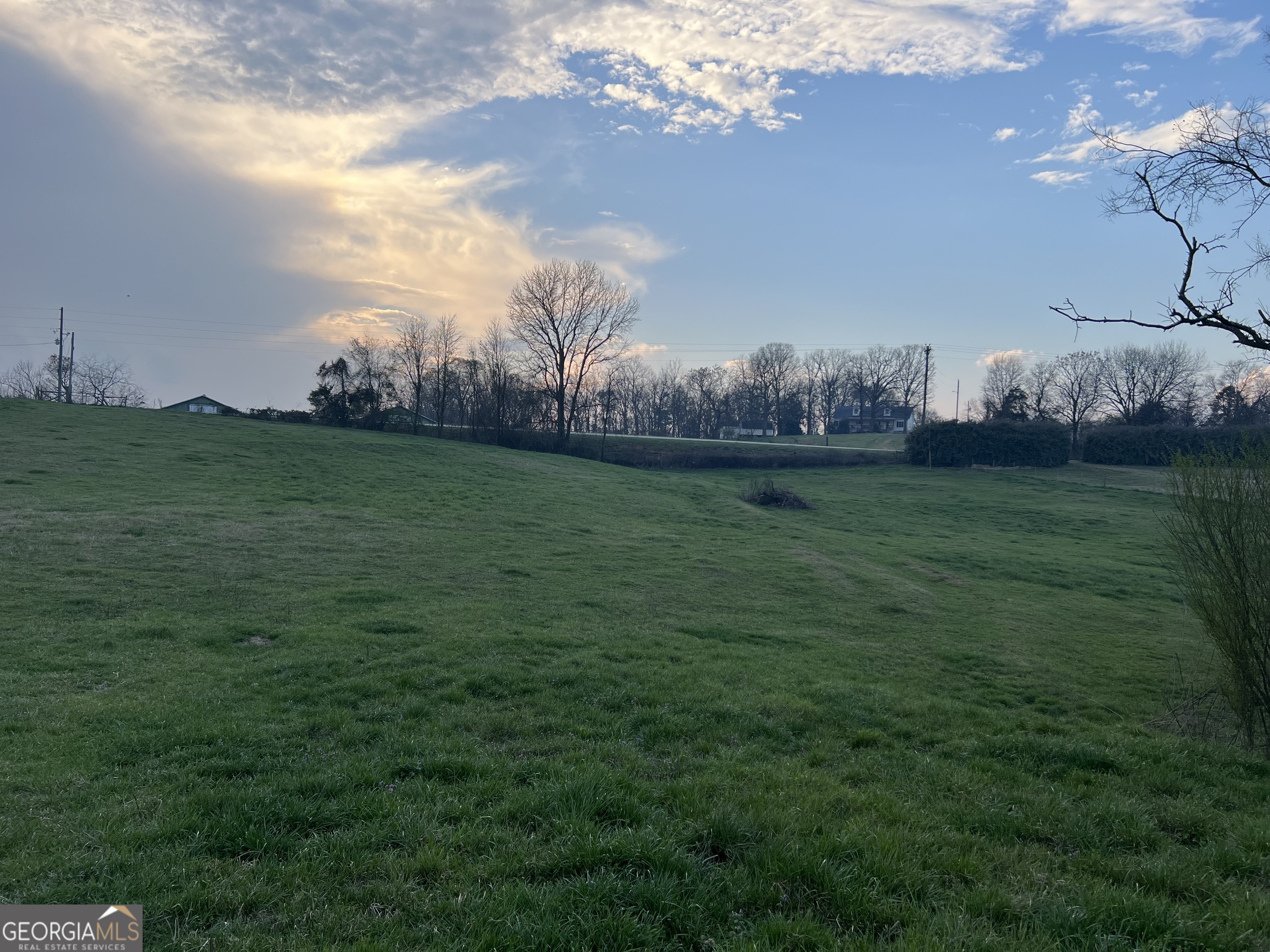 1211 Parham Town Road Bowman, GA 30624 - Photo 3 of 63 a view of a field of grass and trees