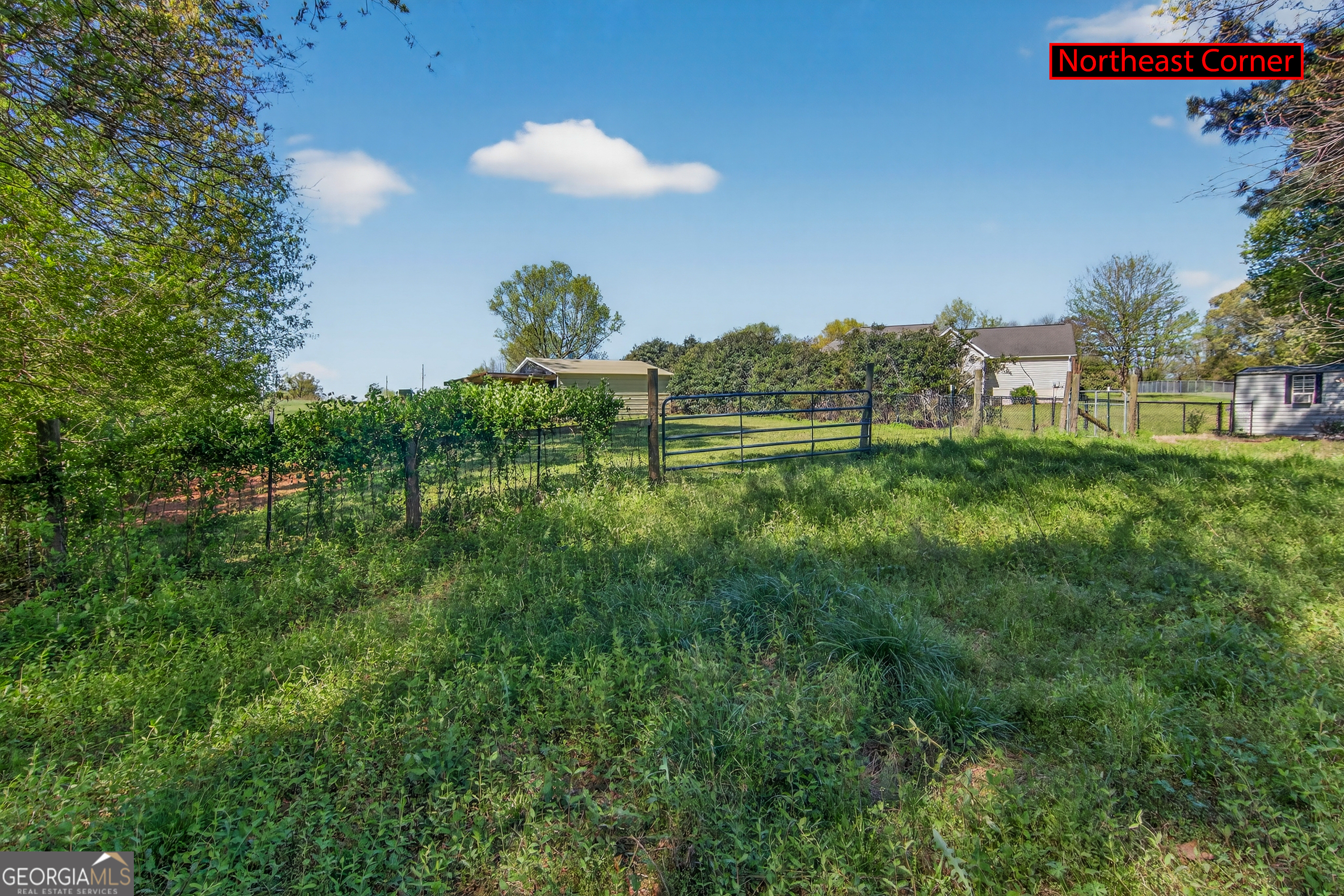 1211 Parham Town Road Bowman, GA 30624 - Photo 69 of 86 a view of a golf course with green space
