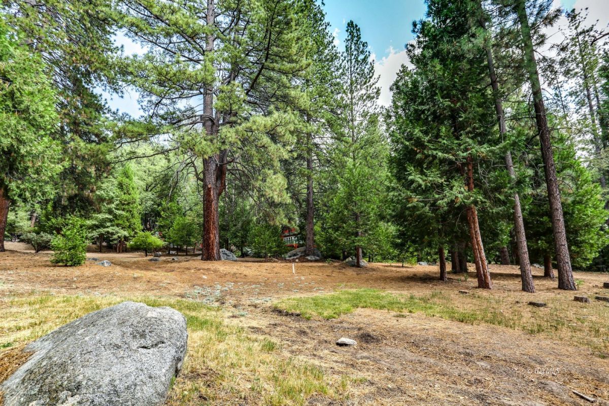 25891 Wayne Road Idyllwild, CA 92549 - Photo 50 of 72 a view of outdoor space with trees