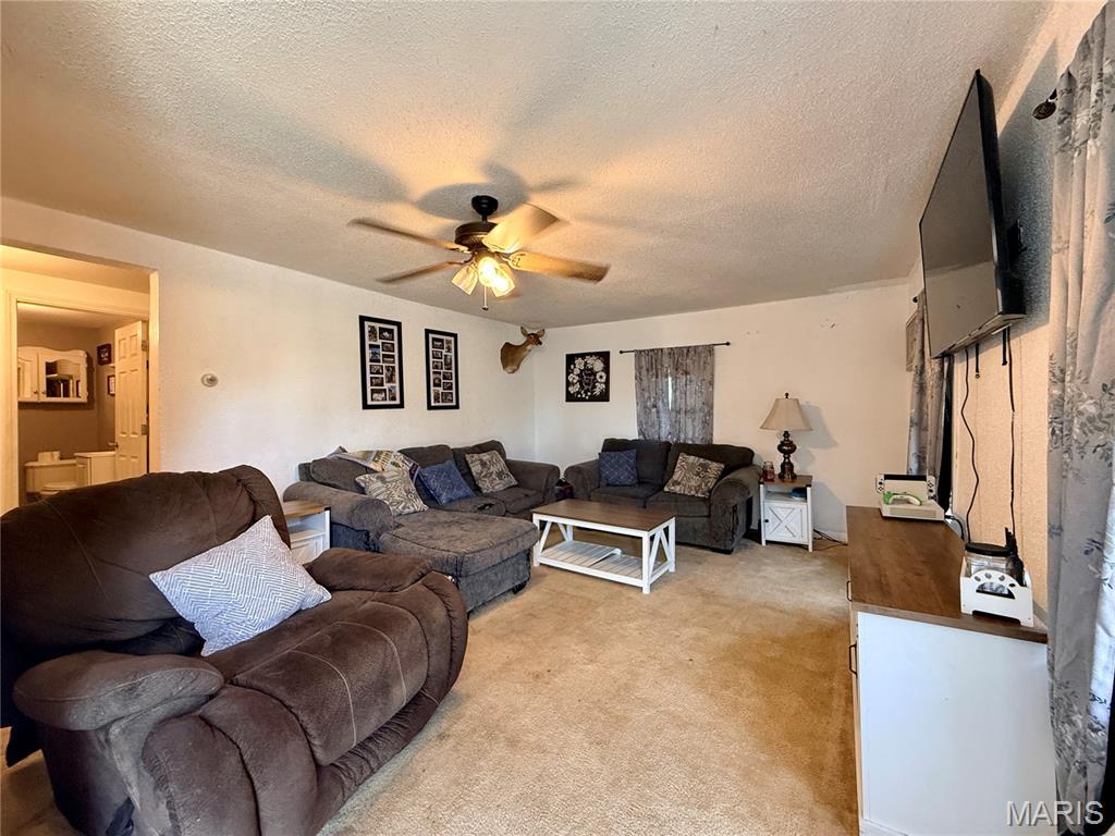 700 Big Spring Boulevard Perryville, MO 63775 - Photo 5 of 21