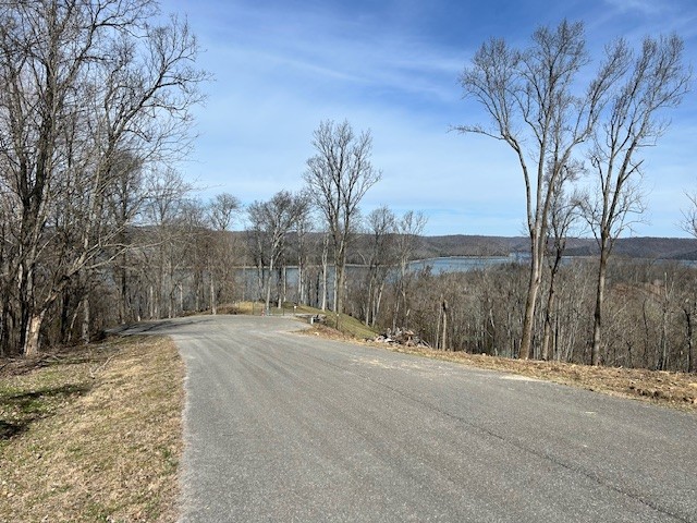 83 Davidson Road Smithville, TN 37166 - Photo 5 of 5 Gallery Image 5
