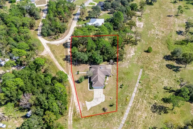 view of a yard with plants