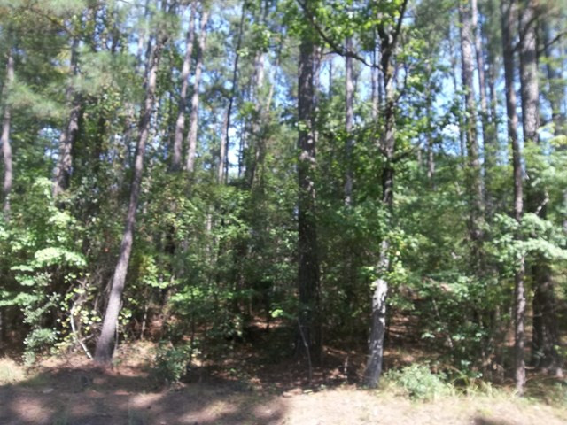 759 Furys Ferry Road Evans, GA 30809 - Photo 3 of 3 Gallery Image 3