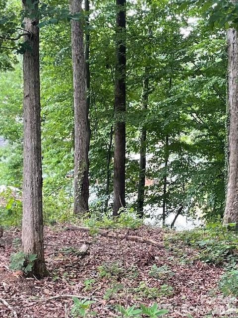 7750 Bankhead Road Denver, NC 28037 - Photo 1 of 1 Gallery Image 1