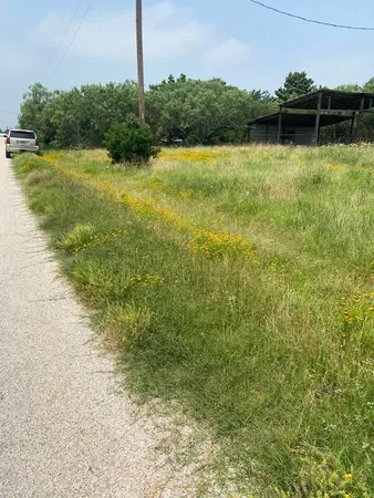 $47,000 | 0 Odessa Lane, Tow, TX 78672