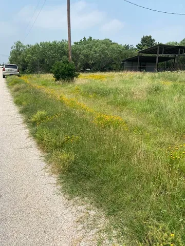 $53,000 | 0 Odessa Lane, Tow, TX 78672