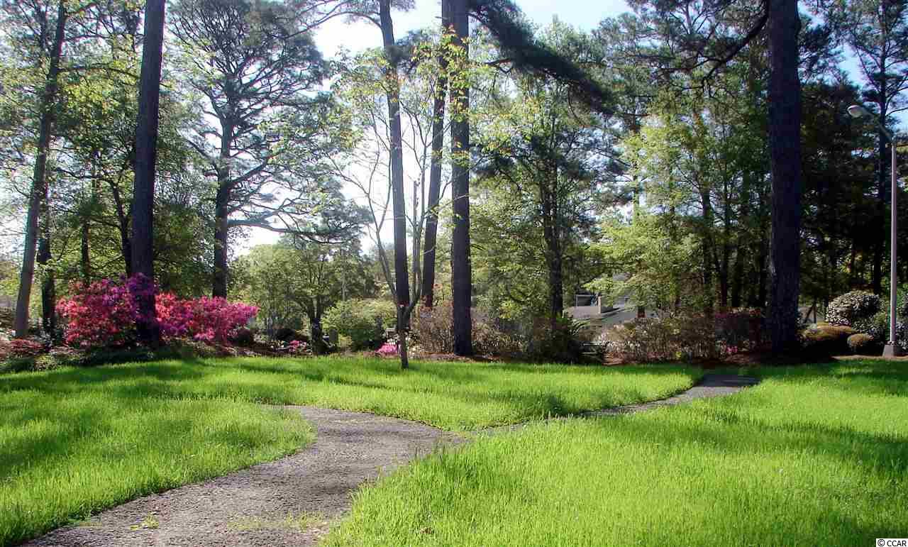5001 Little River Road, Unit W204 Myrtle Beach, SC 29577 - Photo 7 of 11 Gallery Image 7