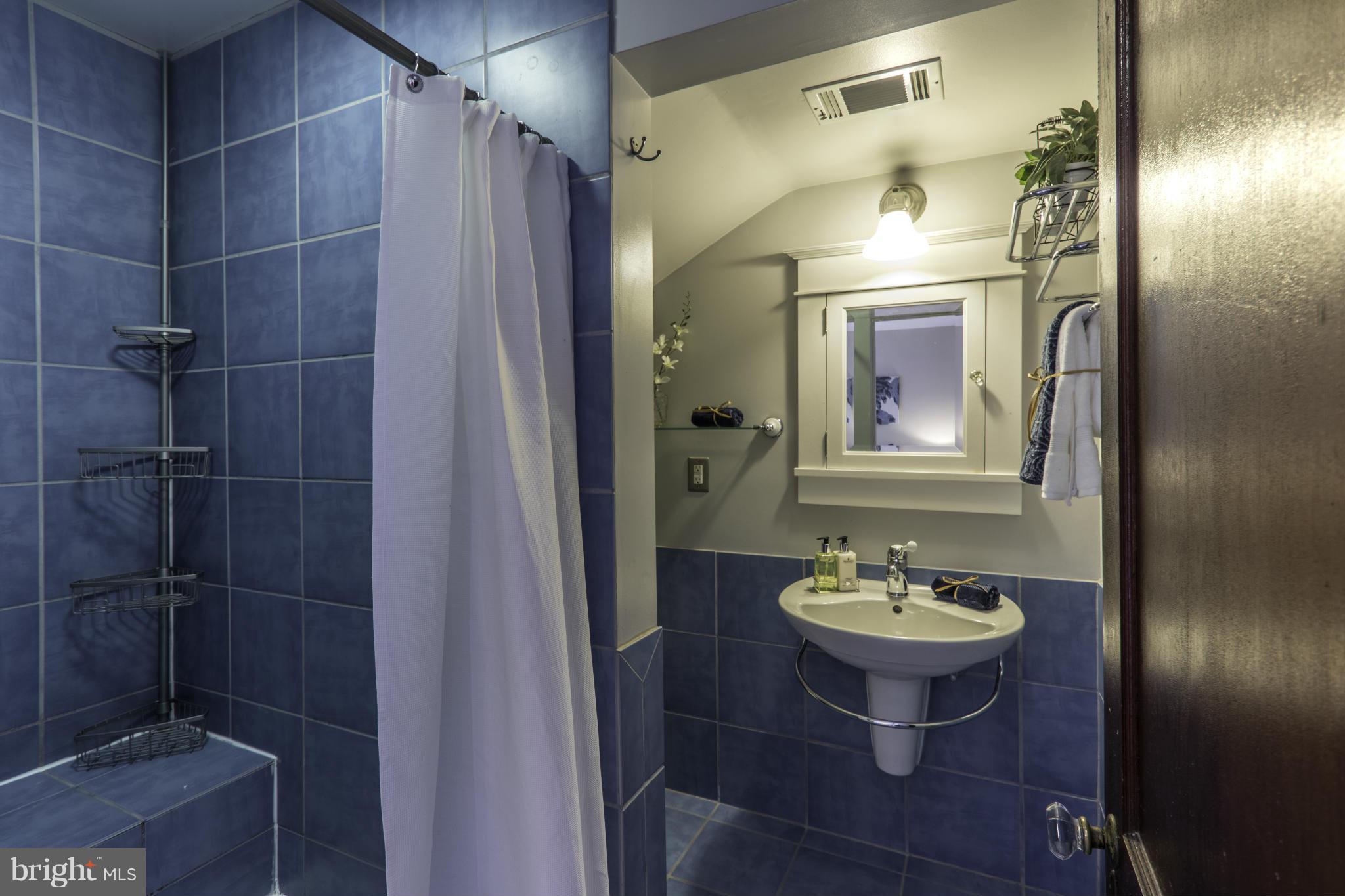 51 Overbrook Road Catonsville, MD 21228 - Photo 15 of 30 Bath (Master)