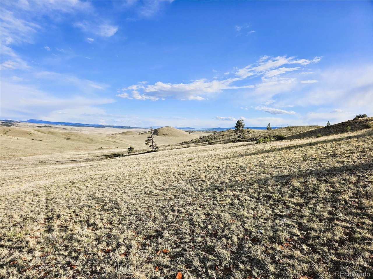 24142 Antero Road Hartsel, CO 80449 - Photo 16 of 48