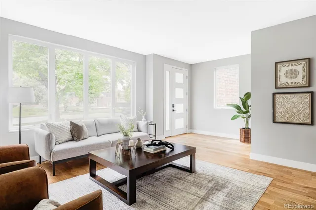 a living room with furniture and a potted plant