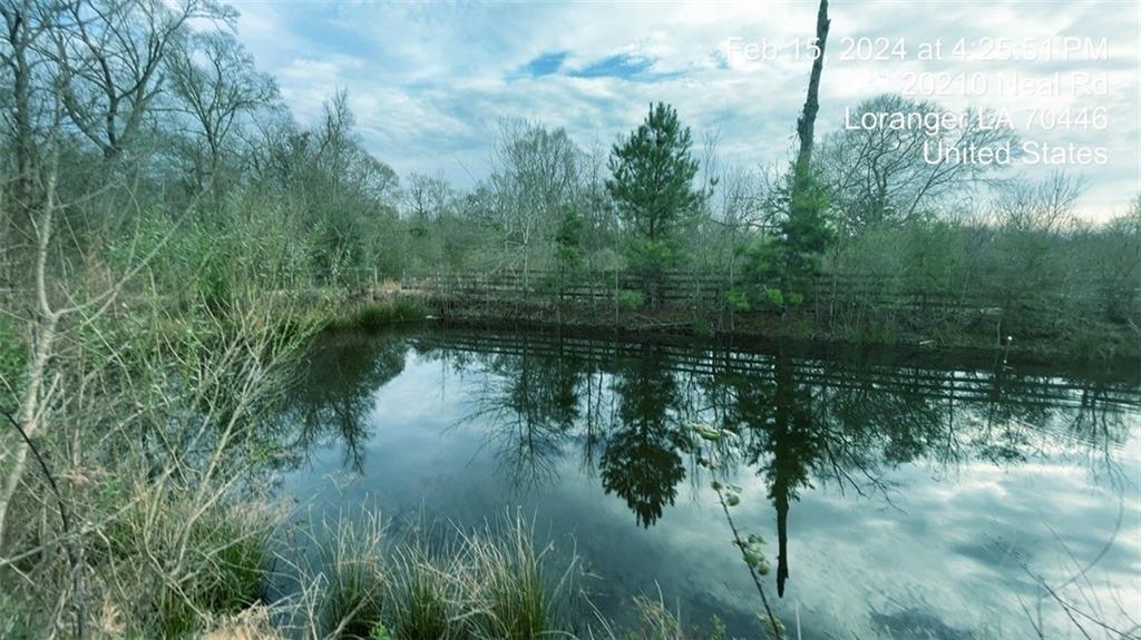20210 Neal Road Loranger, LA 70446 - Photo 25 of 33