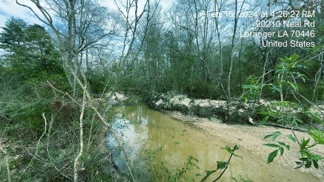 20210 Neal Road Loranger, LA 70446 - Photo 28 of 33