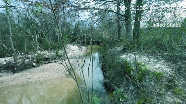 20210 Neal Road Loranger, LA 70446 - Photo 29 of 33