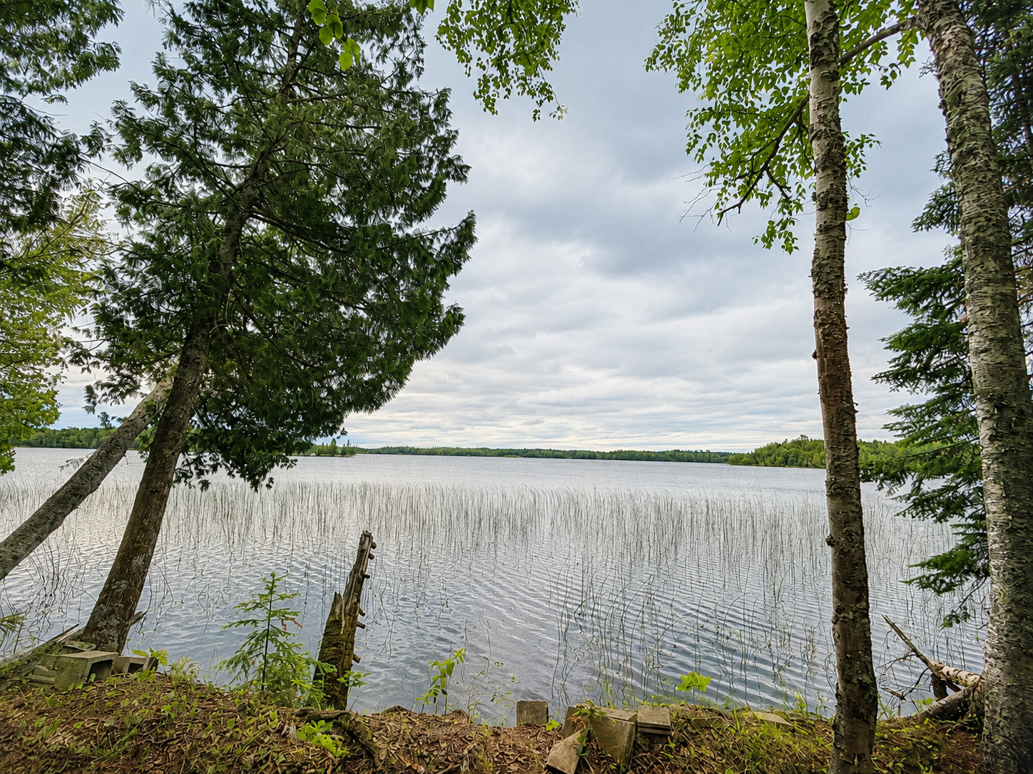 50573 Evergreen Point Road Bigfork, MN 56628 - Photo 43 of 47