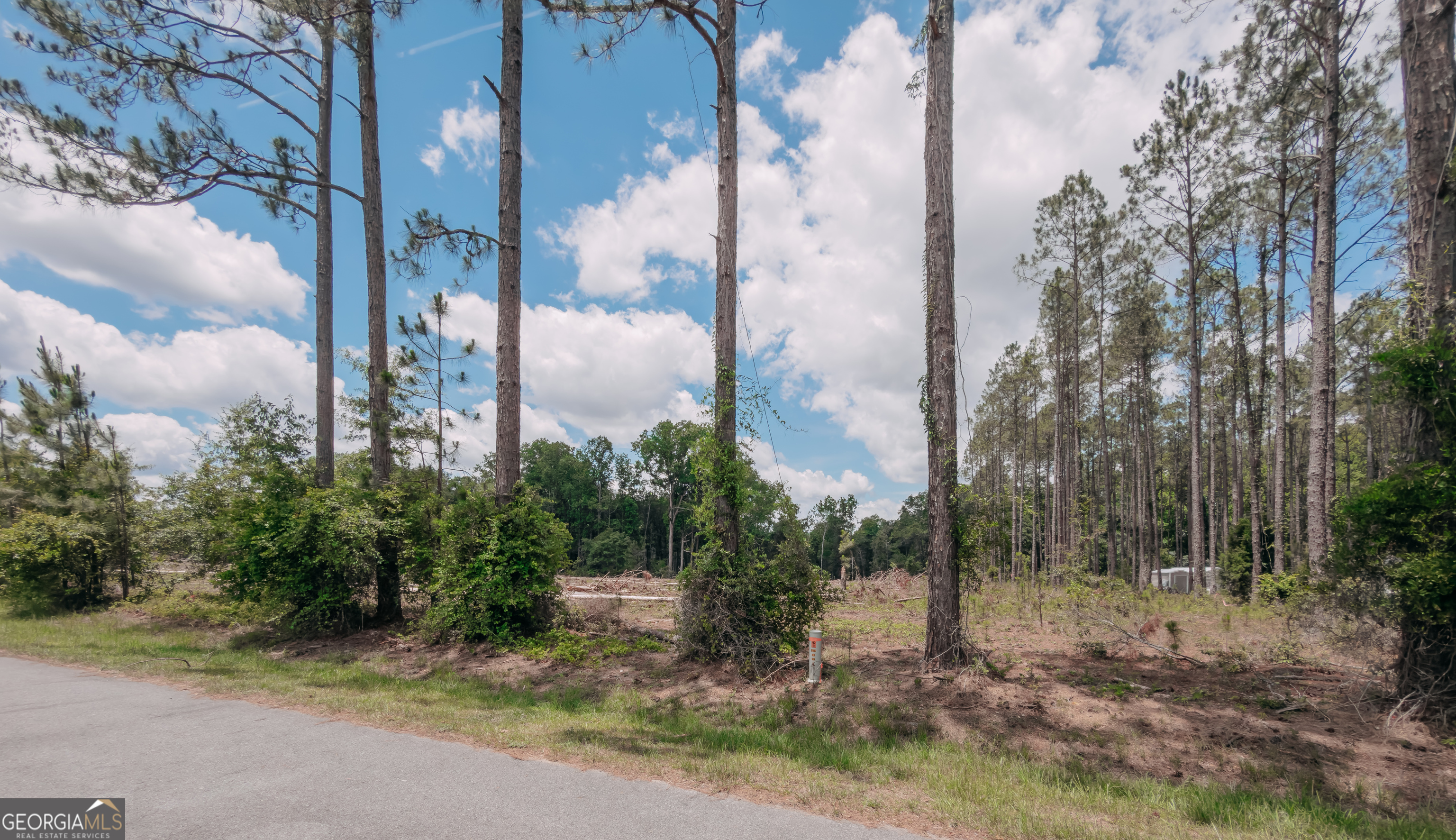 0 Issac Road Claxton, GA 30417 - Photo 3 of 11