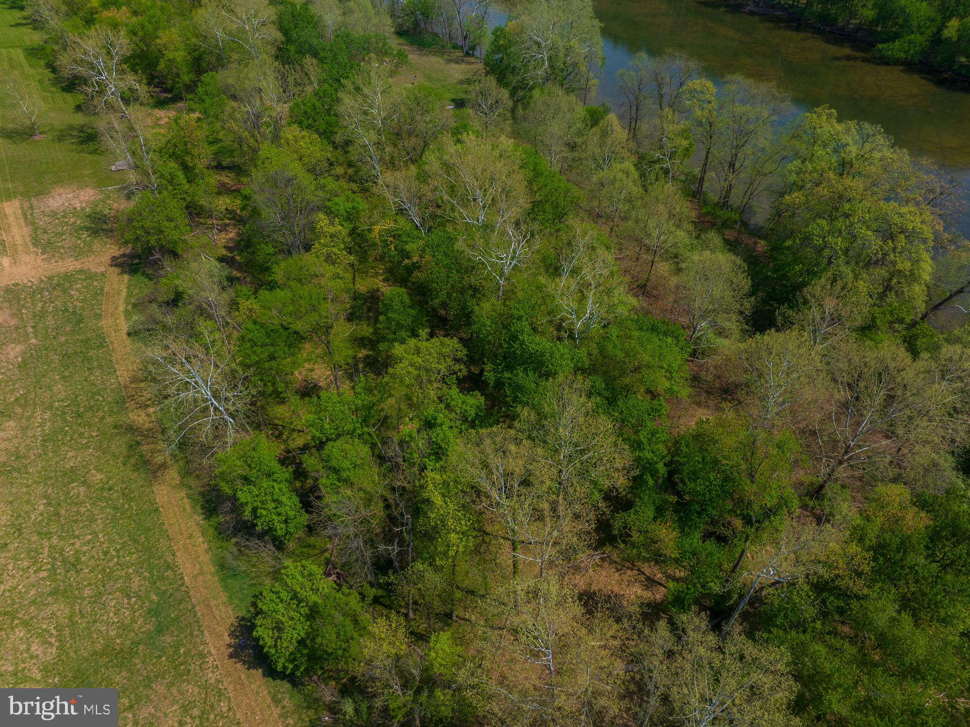 753 Seven Springs Road Charles Town, WV 25414 - Photo 8 of 128 Gallery Image 8