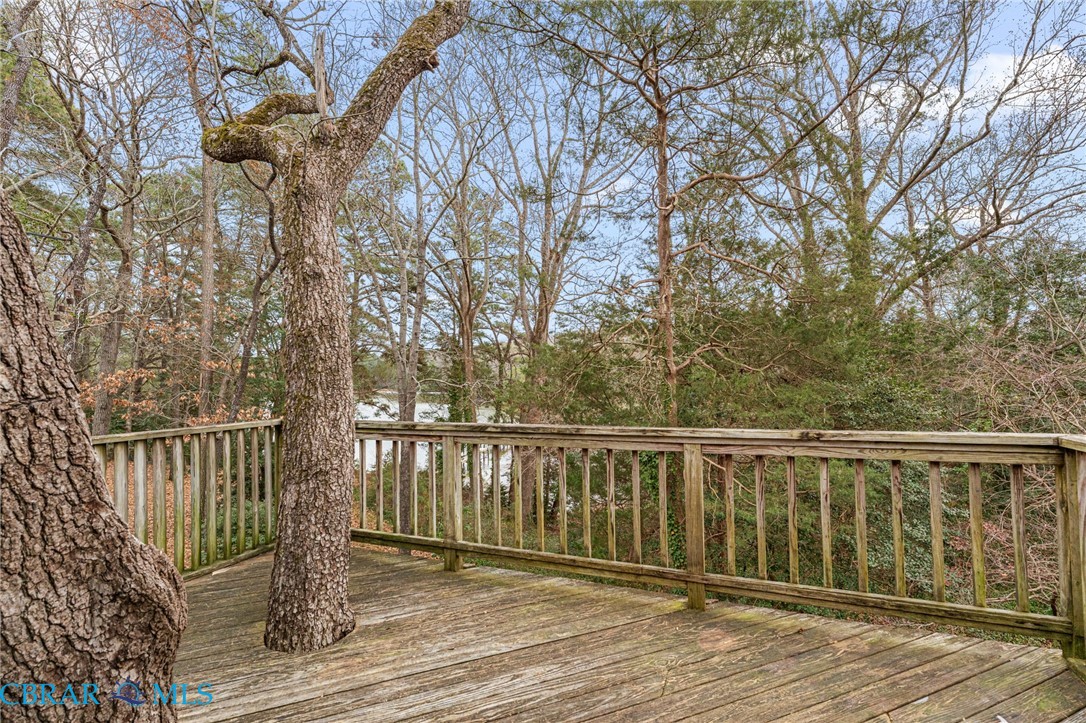 3795 Cedar Bush Road Hayes, VA 23072 - Photo 30 of 39 Gallery Image 30