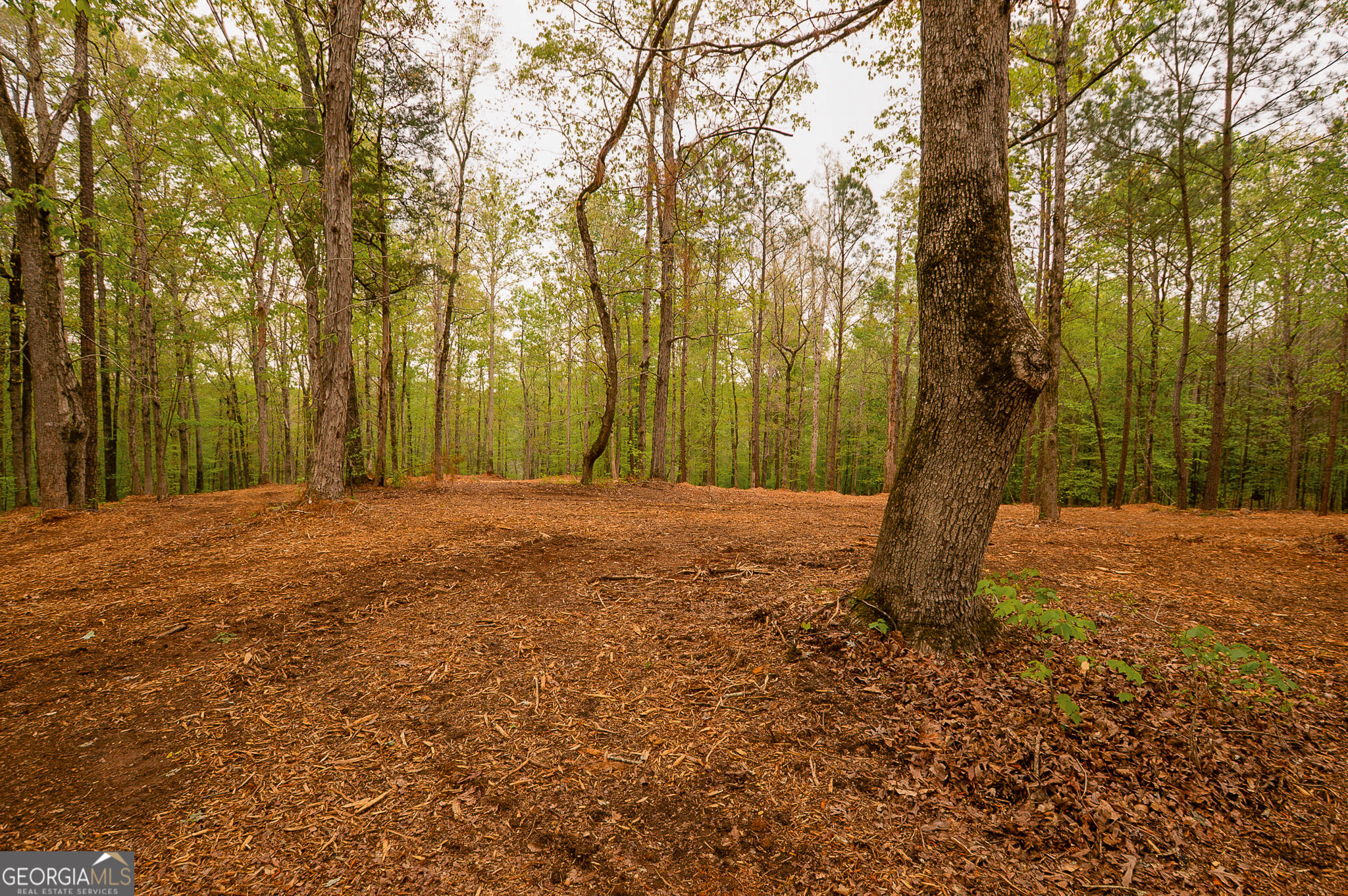 0 River Overlook Forsyth, GA 31029 - Photo 11 of 17