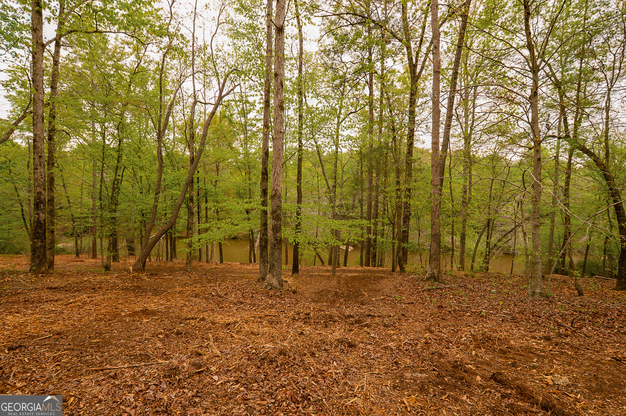 0 River Overlook Forsyth, GA 31029 - Photo 12 of 17