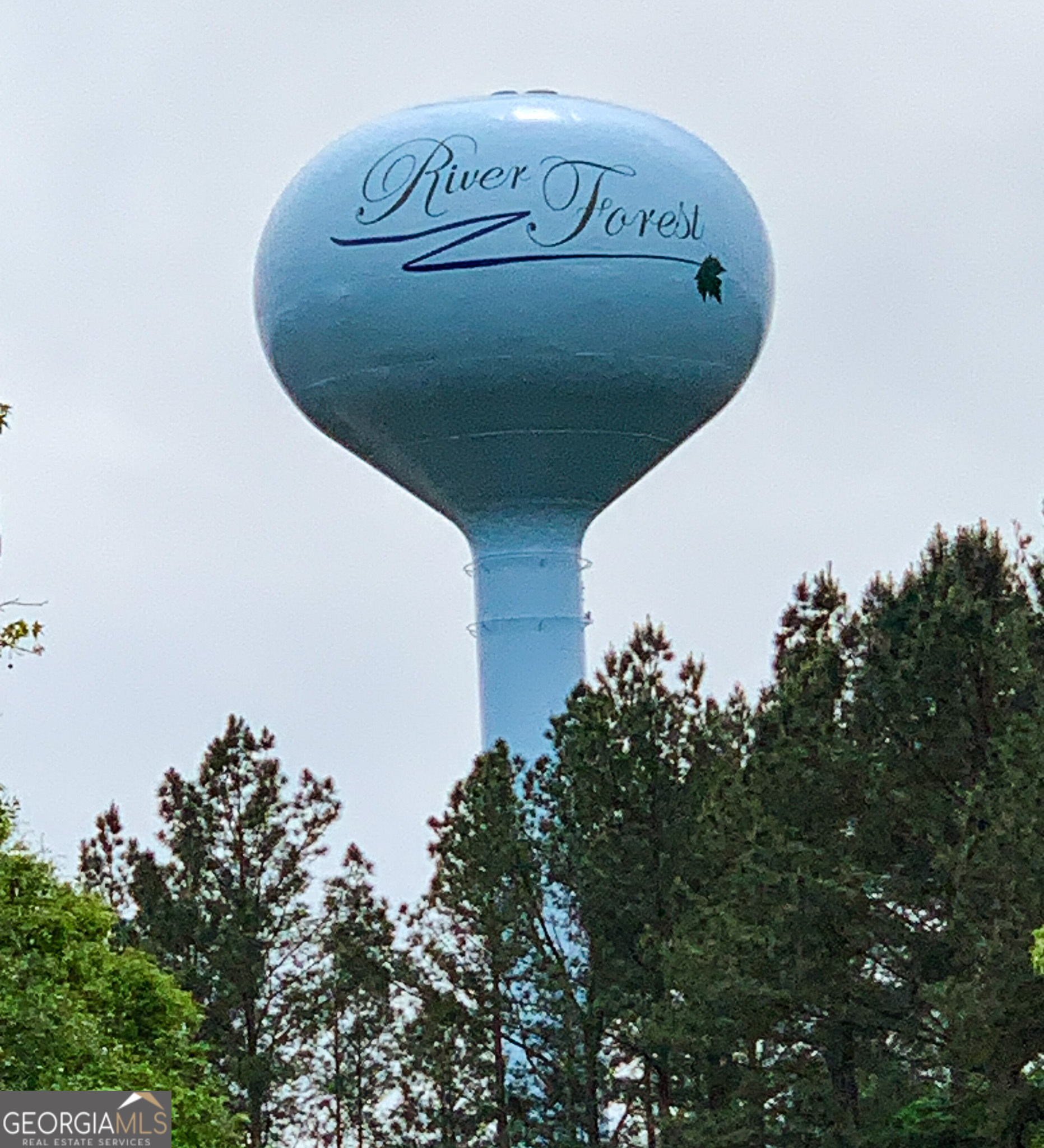 0 River Overlook Forsyth, GA 31029 - Photo 16 of 17