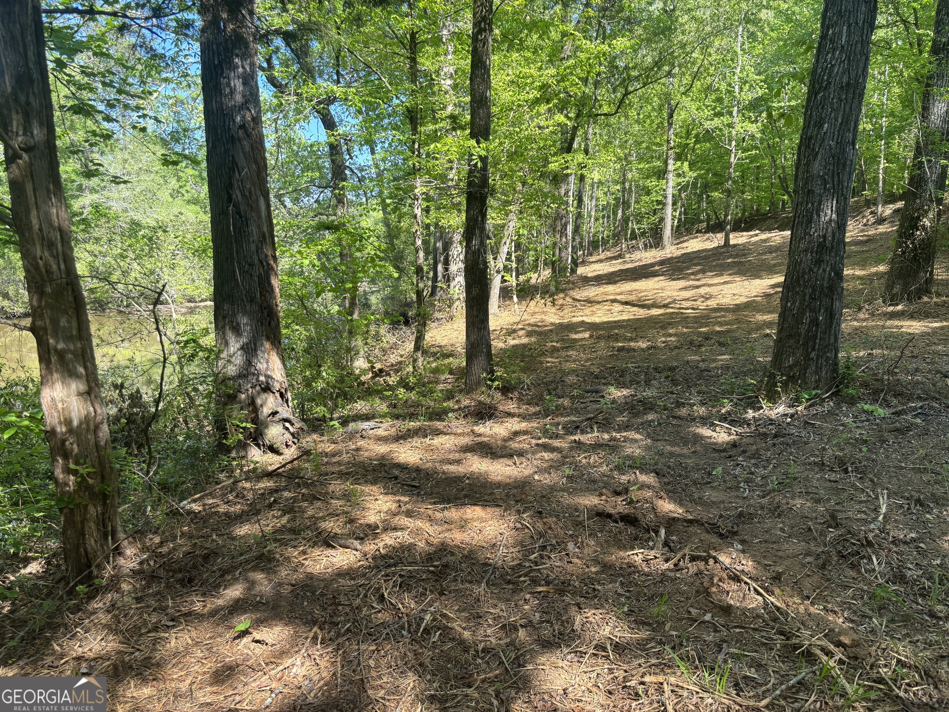 0 River Overlook Forsyth, GA 31029 - Photo 18 of 23 a view of outdoor space and trees