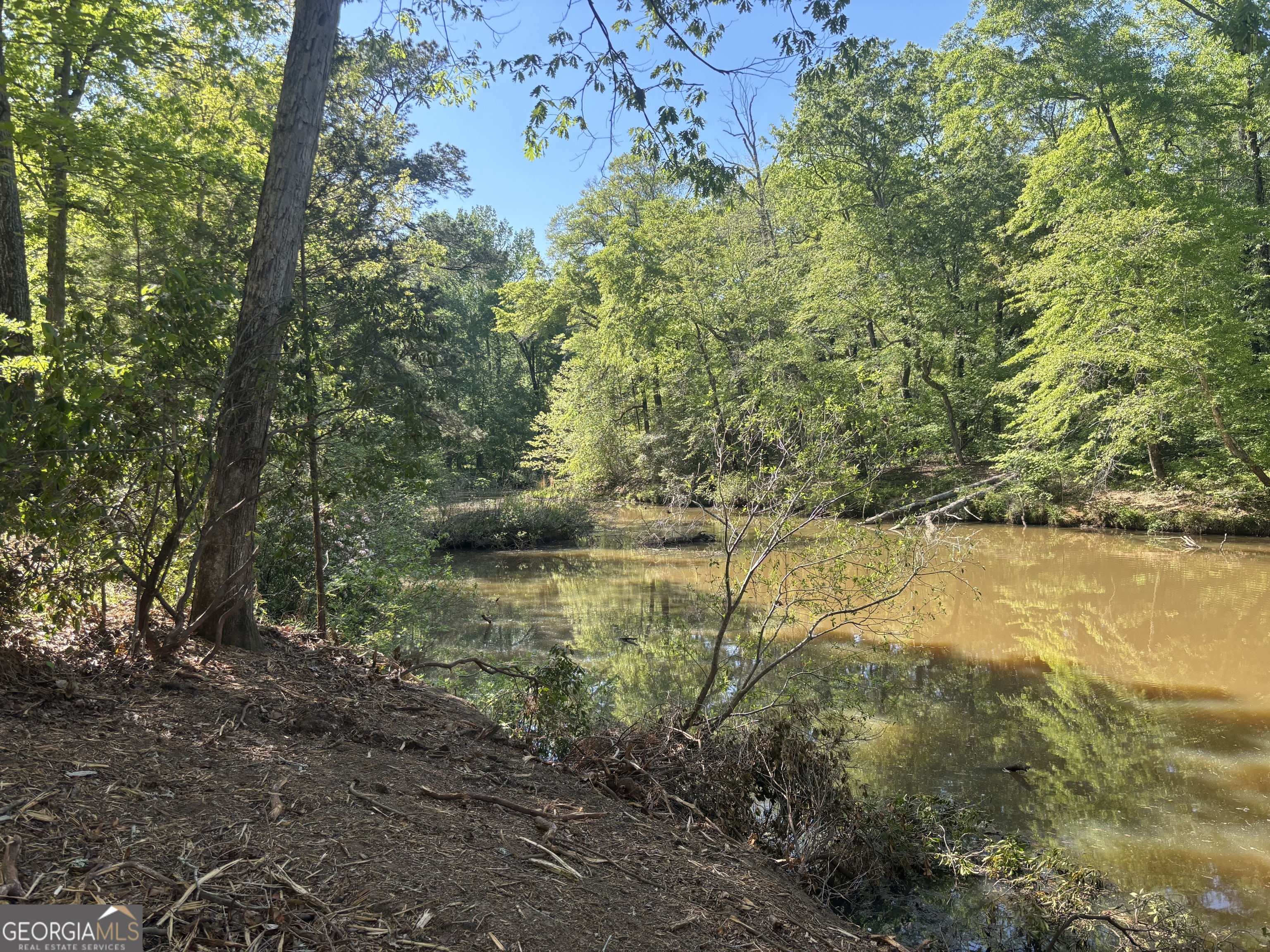 0 River Overlook Forsyth, GA 31029 - Photo 19 of 23 a view of lake with green space