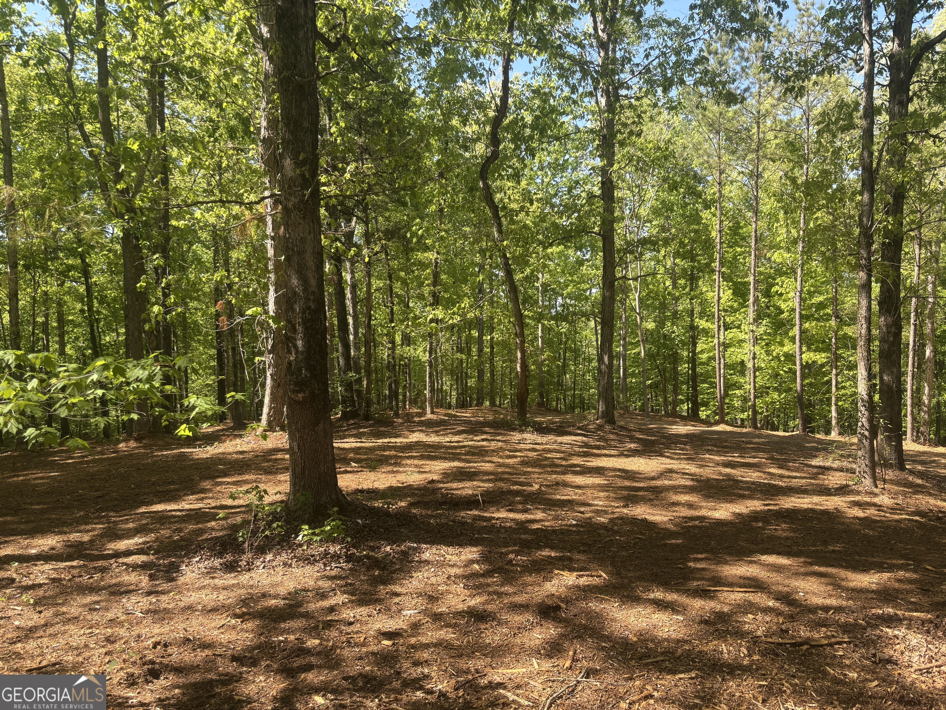 0 River Overlook Forsyth, GA 31029 - Photo 21 of 23 a view of a road with a trees