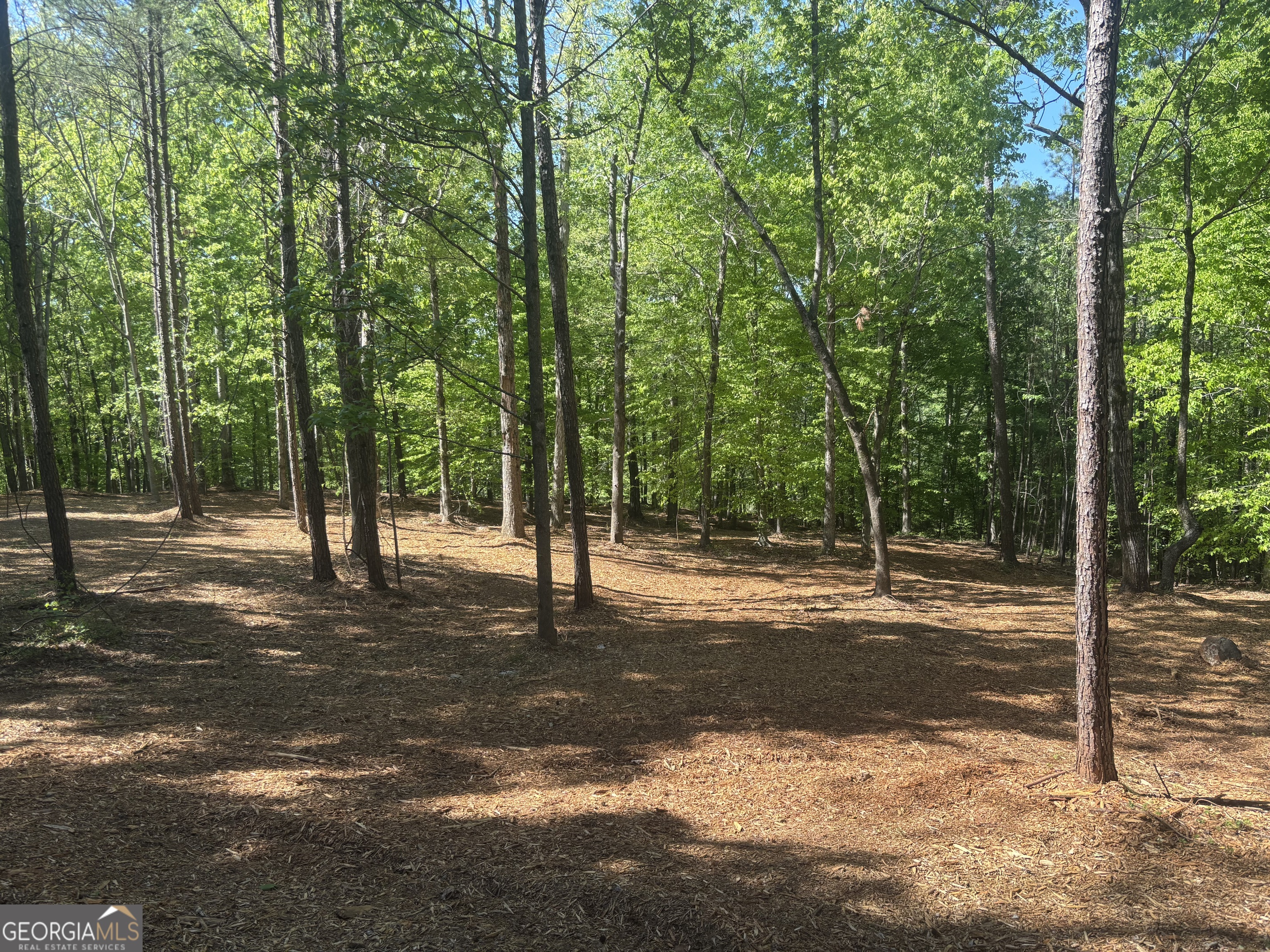0 River Overlook Forsyth, GA 31029 - Photo 22 of 23 a view of a house with a big yard