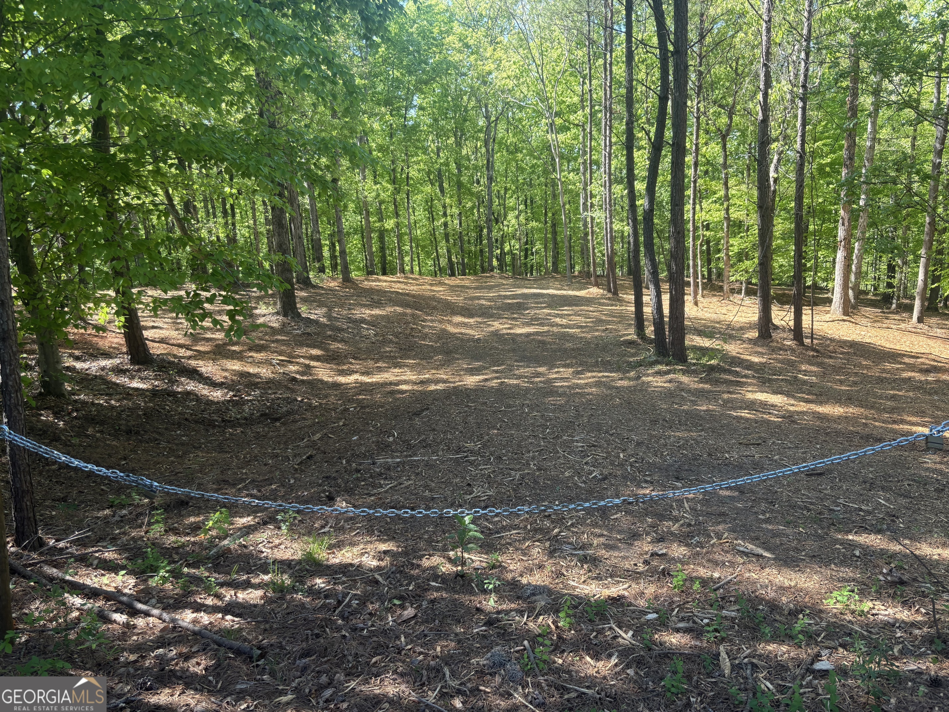 0 River Overlook Forsyth, GA 31029 - Photo 23 of 23 a view of a yard with tree s