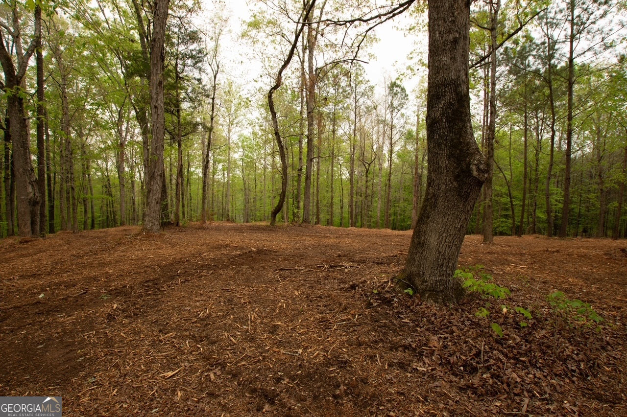 0 River Overlook Forsyth, GA 31029 - Photo 4 of 17