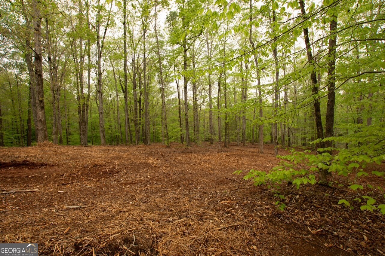 0 River Overlook Forsyth, GA 31029 - Photo 5 of 17