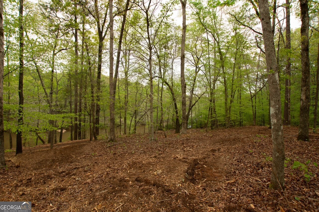 0 River Overlook Forsyth, GA 31029 - Photo 6 of 17