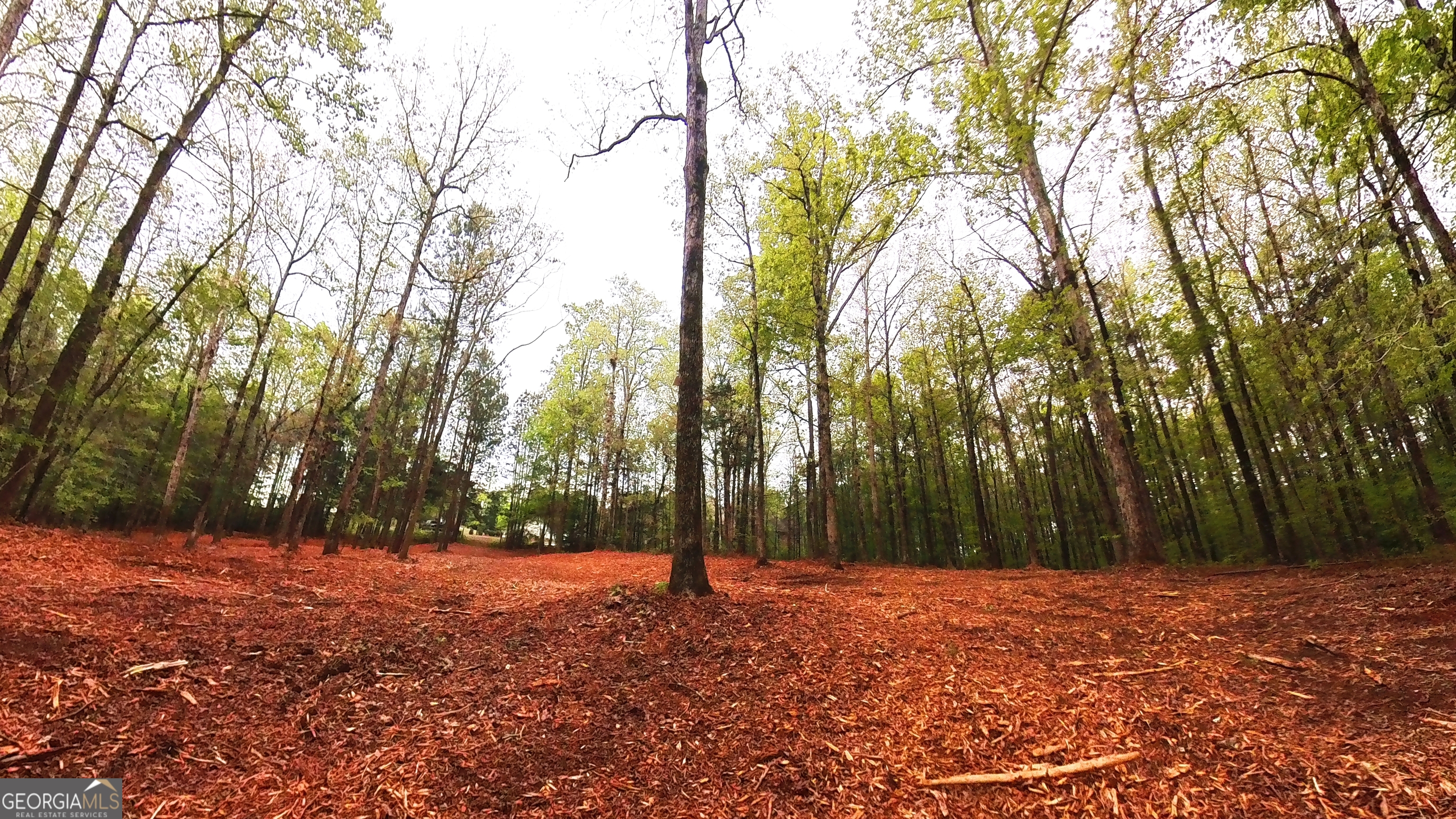 0 River Overlook Forsyth, GA 31029 - Photo 7 of 17