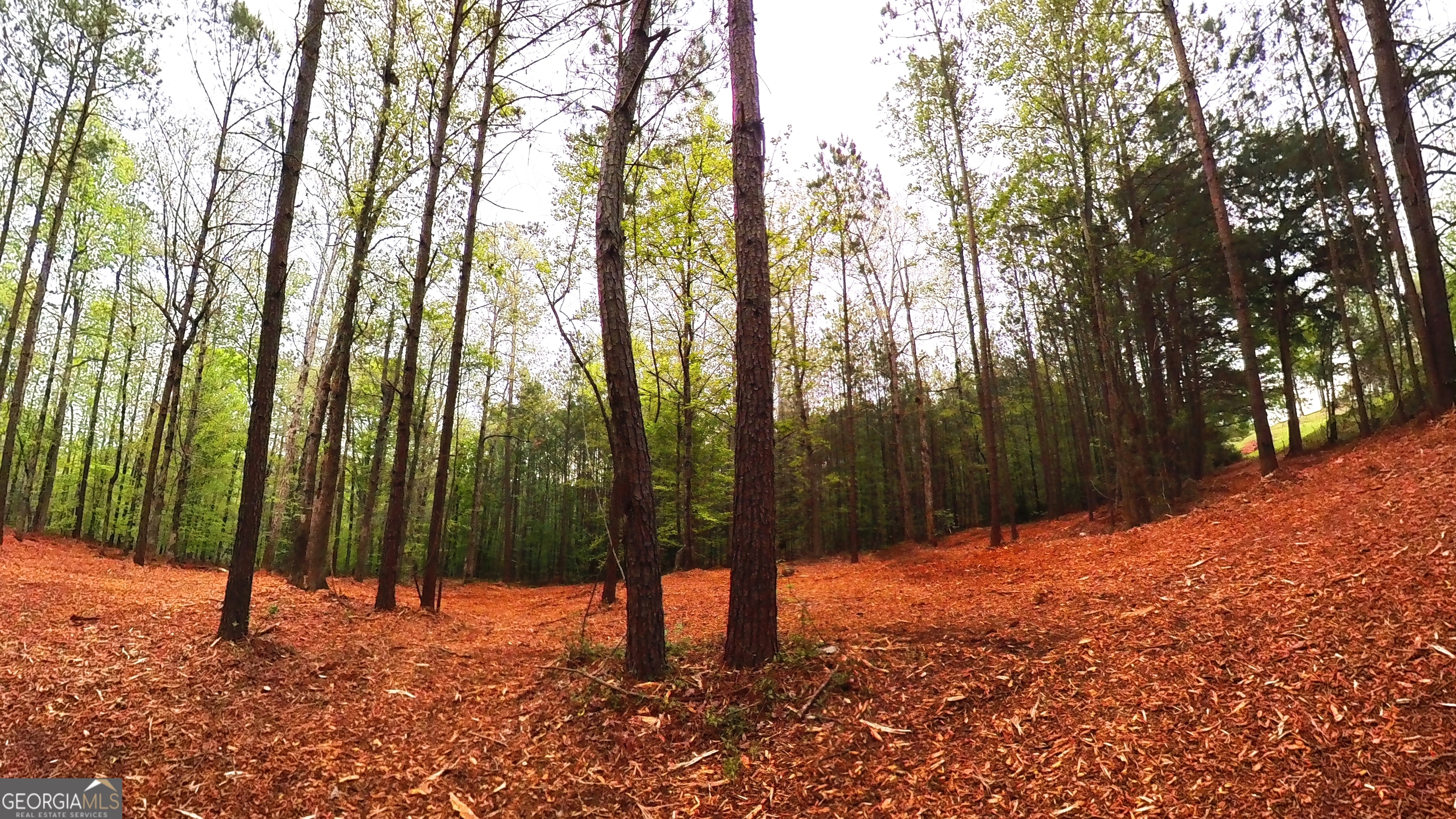0 River Overlook Forsyth, GA 31029 - Photo 8 of 17