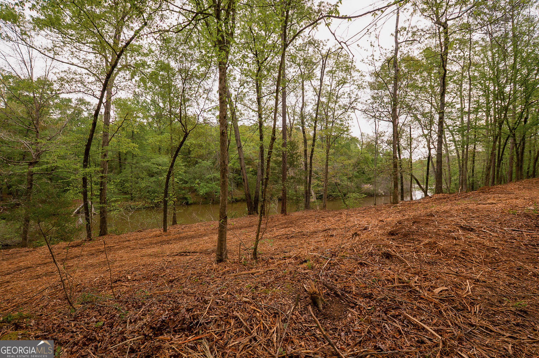 0 River Overlook Forsyth, GA 31029 - Photo 9 of 17
