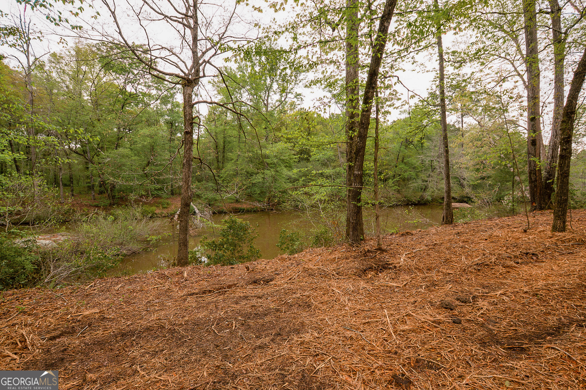0 River Overlook Forsyth, GA 31029 - Photo 10 of 17