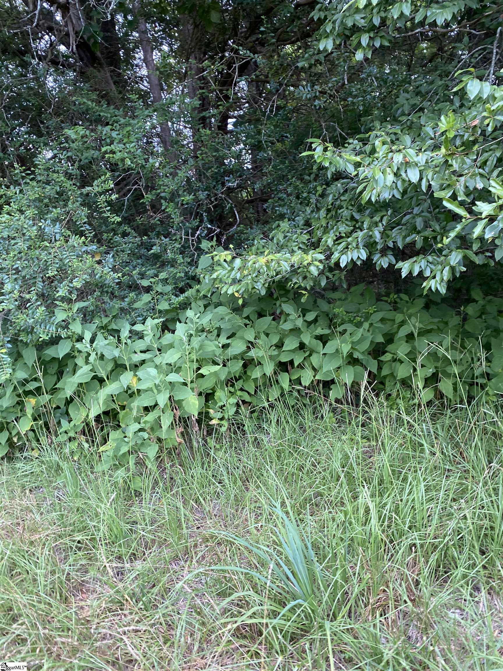 0 Edgewater Road Woodruff, SC 29388 - Photo 4 of 5