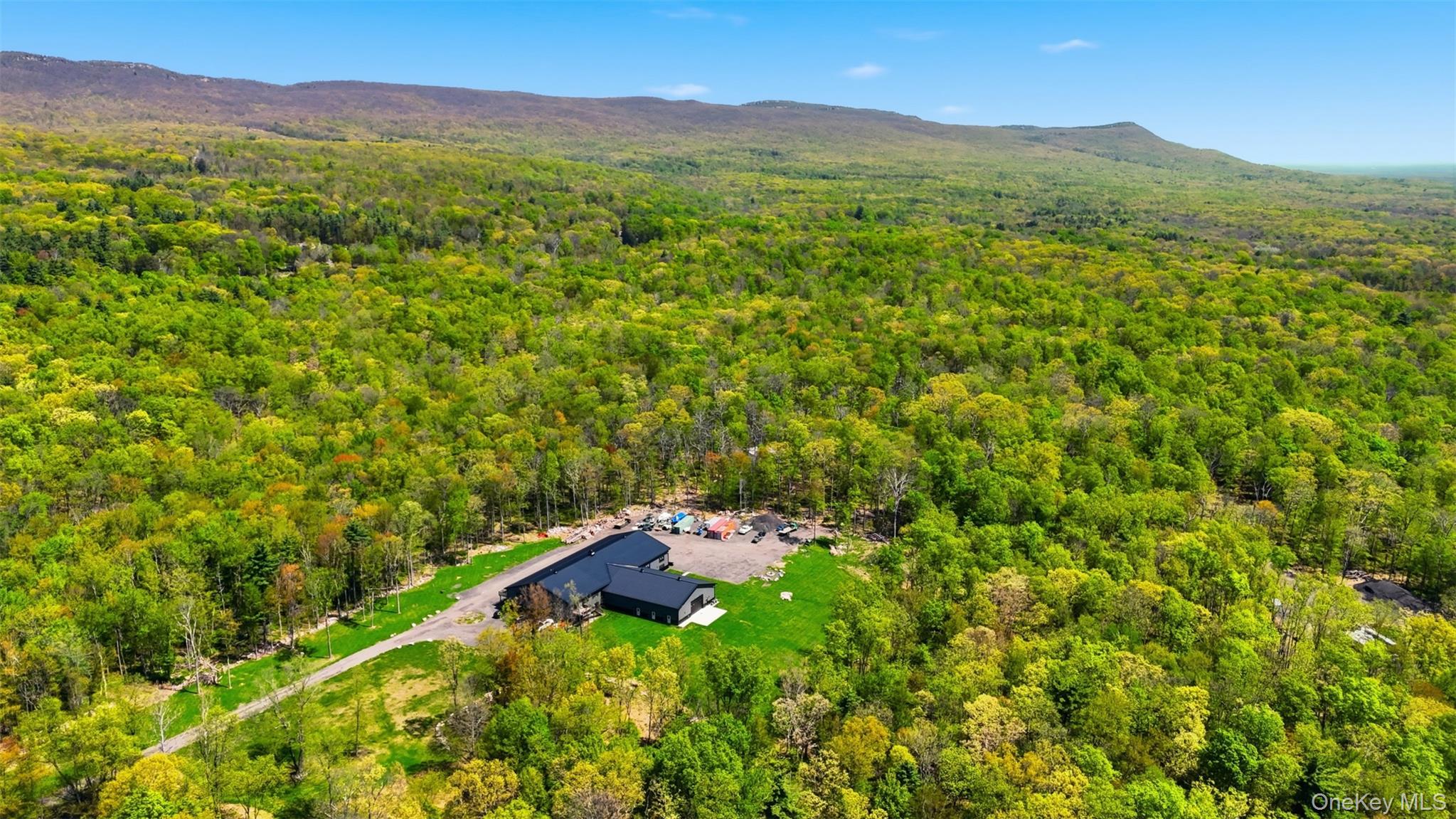51 Redder Road Pine Bush, NY 12566 - Photo 18 of 29 a view of outdoor space and mountain view