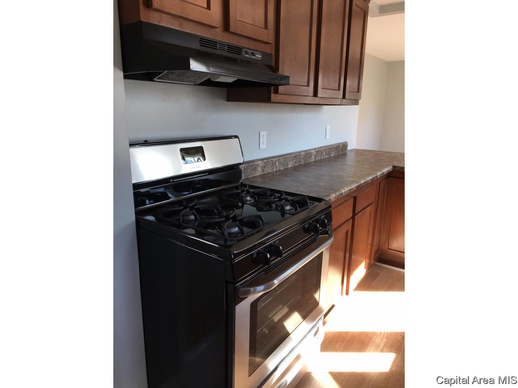 941 East Griffiths Avenue Springfield, IL 62702 - Photo 5 of 9