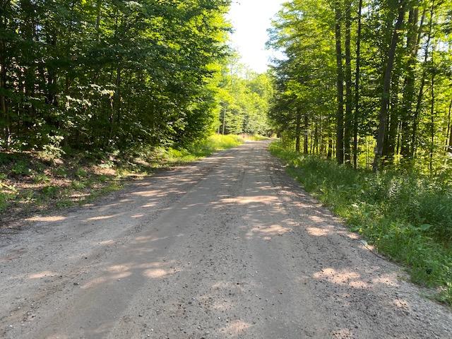 Seldon Road Petoskey, MI 49770 - Photo 17 of 21 Gallery Image 17