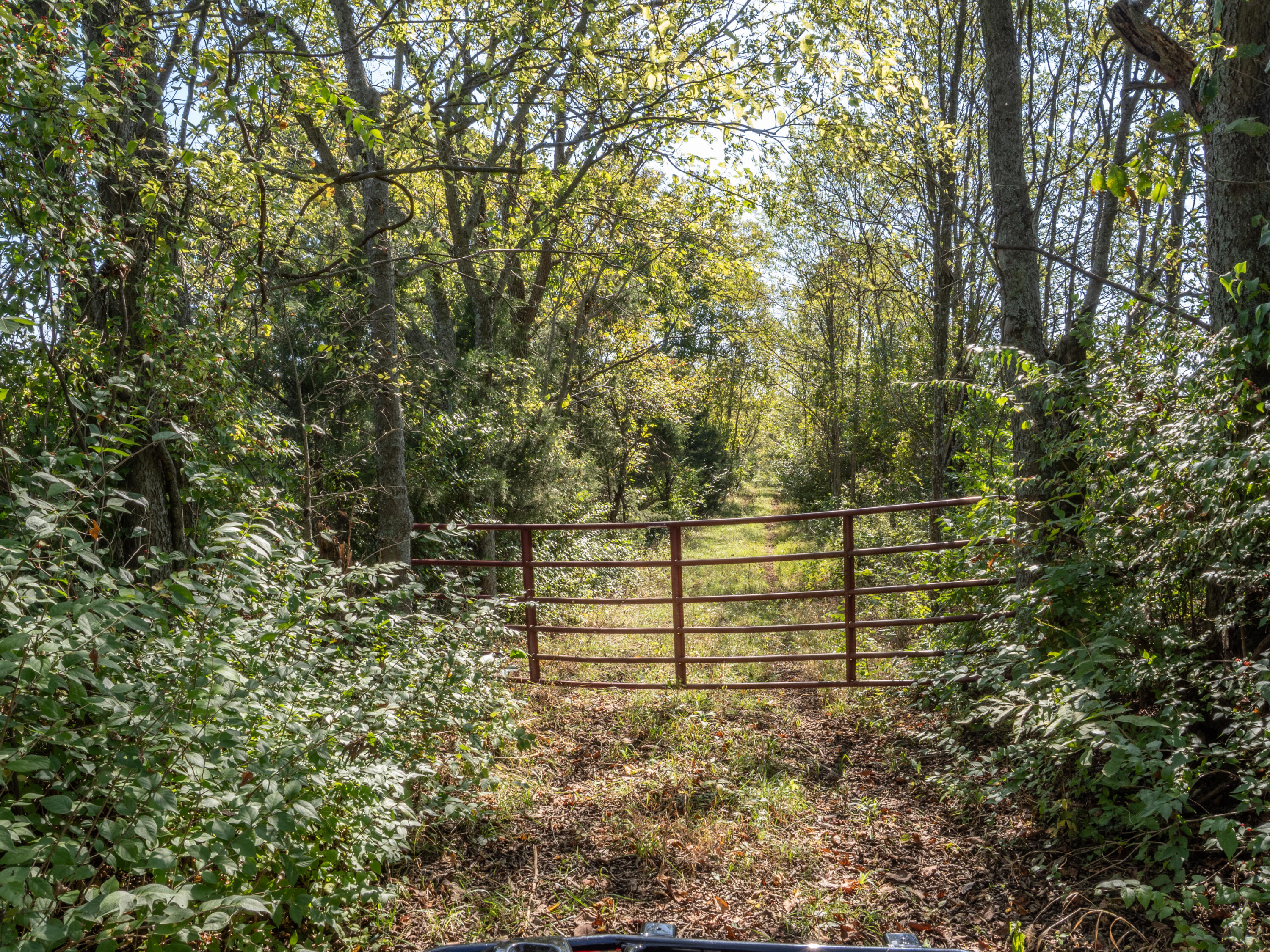 0 Magnolia Road Owingsville, KY 40360 - Photo 14 of 25 PTH10002
