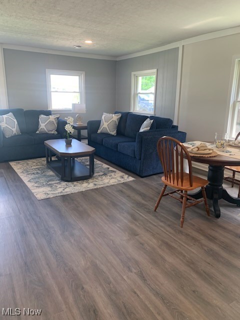 284 Altamont Road Vermilion, OH 44089 - Photo 11 of 39 Living area with ornamental molding, dark wood-style flooring, and a textured ceiling