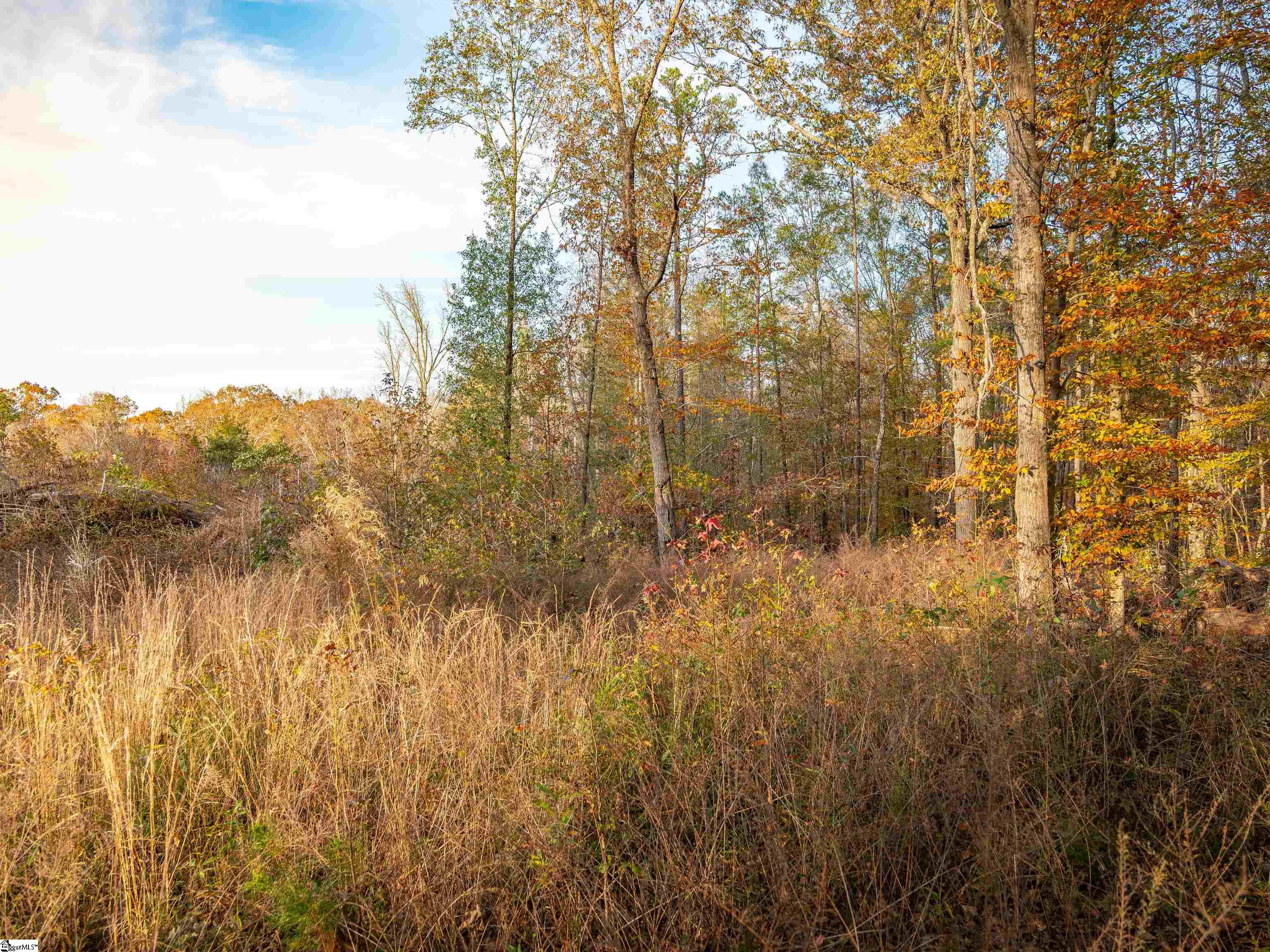 249 West Chapman Road, Unit LOT 12 Belton, SC 29627 - Photo 12 of 24