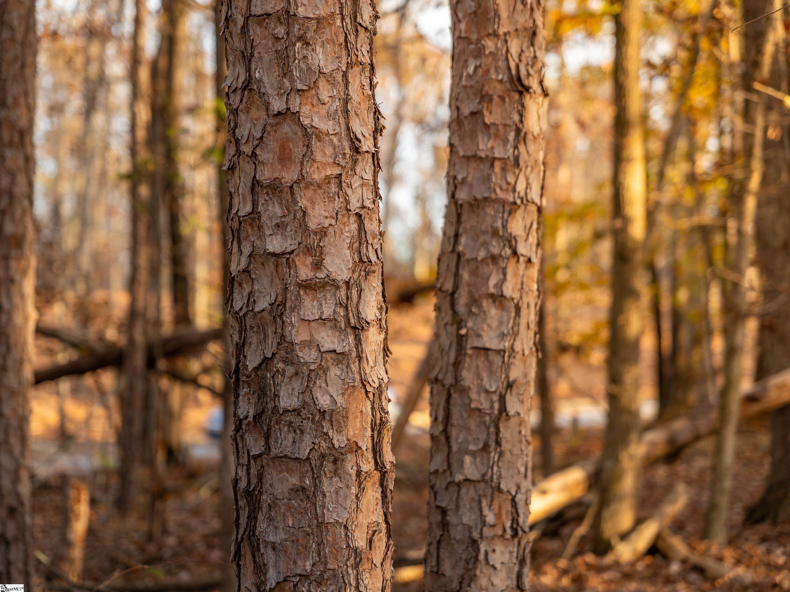 249 West Chapman Road, Unit LOT 12 Belton, SC 29627 - Photo 14 of 24
