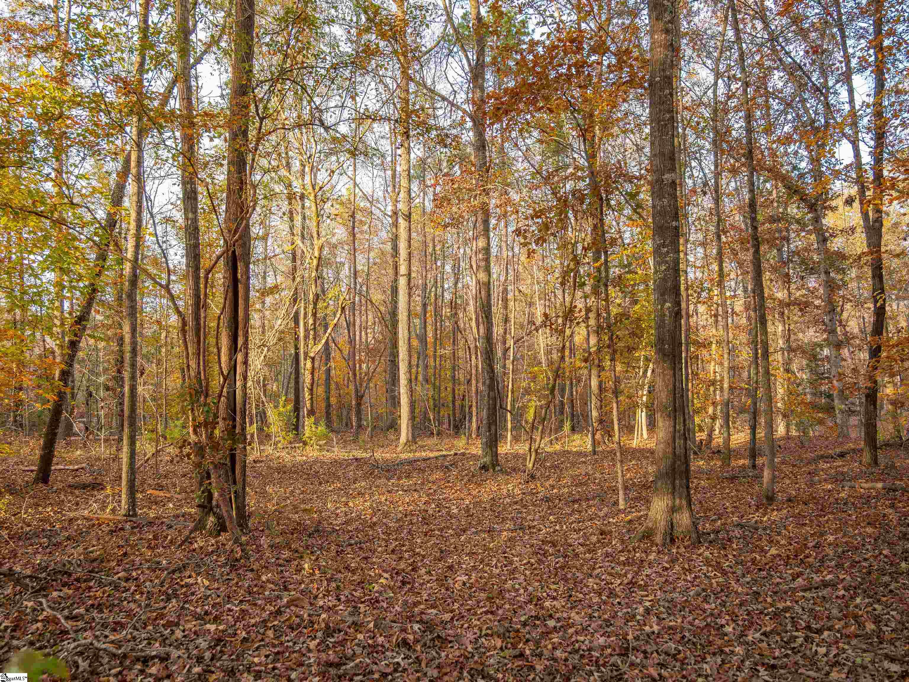 249 West Chapman Road, Unit LOT 12 Belton, SC 29627 - Photo 16 of 24