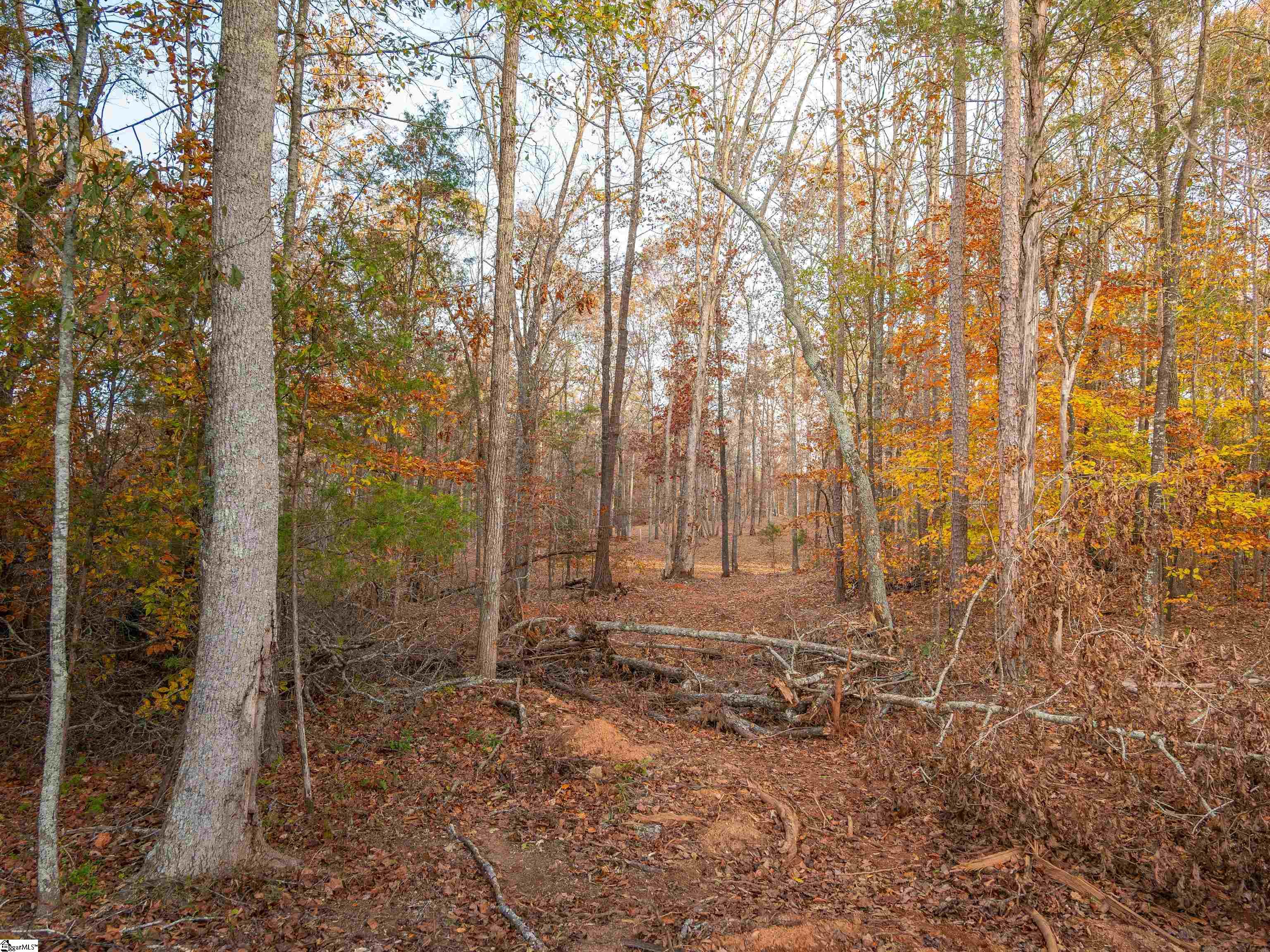 249 West Chapman Road, Unit LOT 12 Belton, SC 29627 - Photo 18 of 24