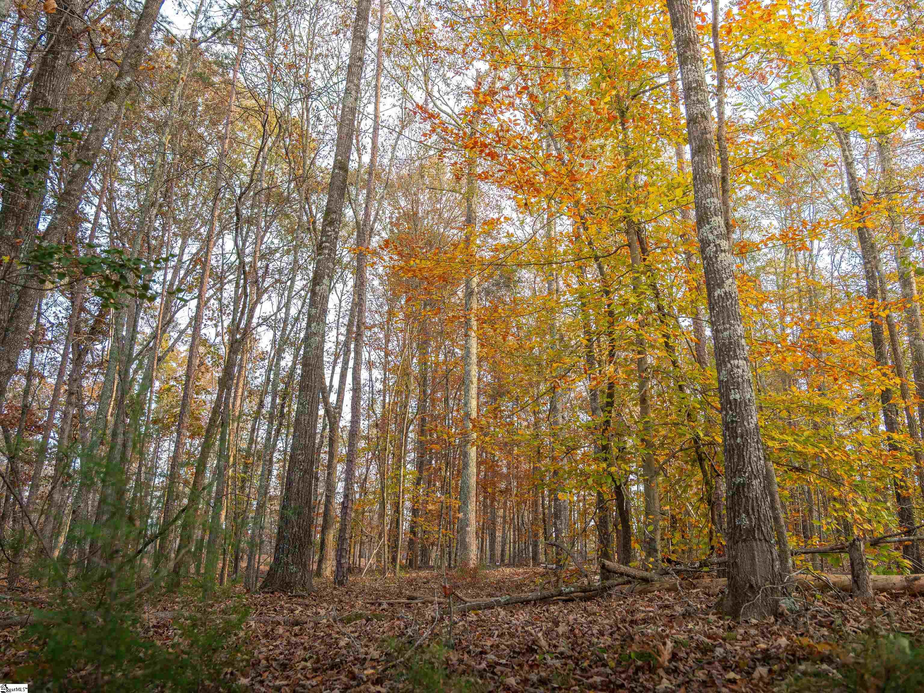 249 West Chapman Road, Unit LOT 12 Belton, SC 29627 - Photo 19 of 24