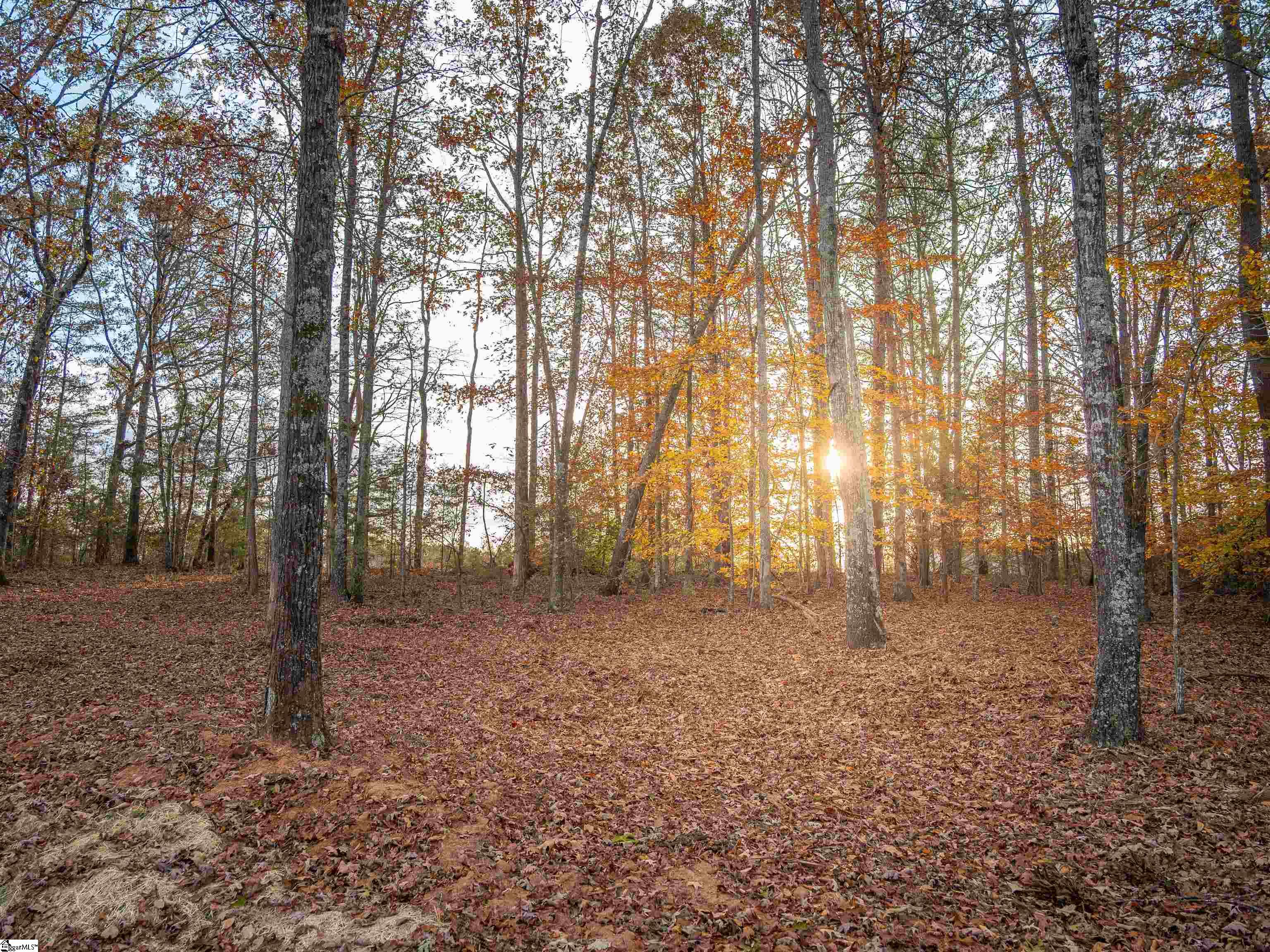 249 West Chapman Road, Unit LOT 12 Belton, SC 29627 - Photo 21 of 24